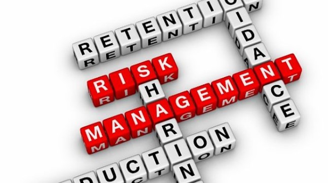 Ever considered an outsourced Chief Risk Officer?